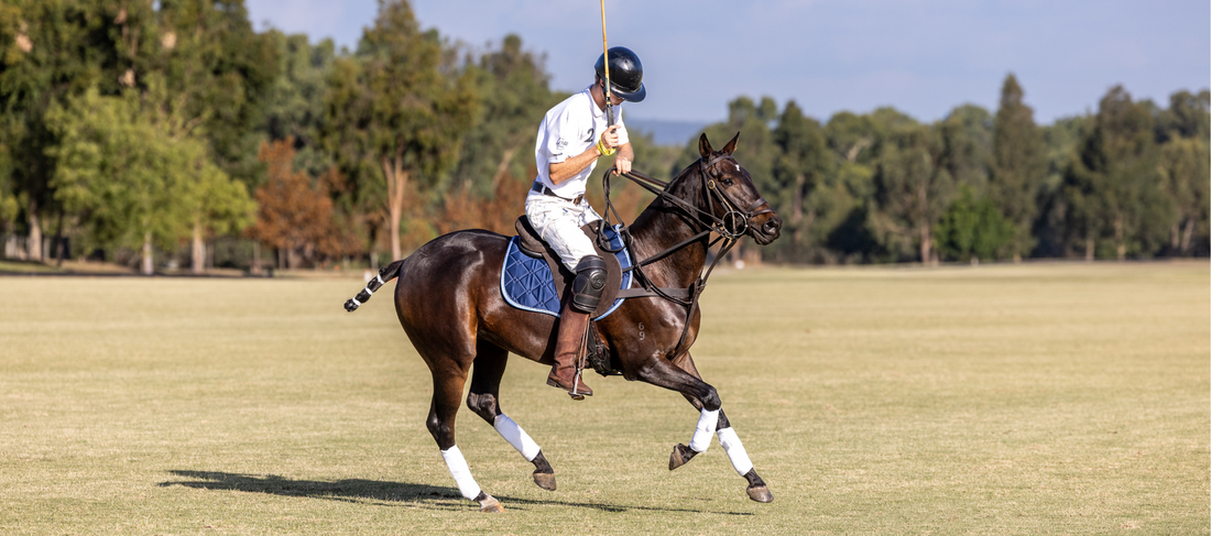 The History of Polo: An Australian Take on the World’s Oldest Team Sport