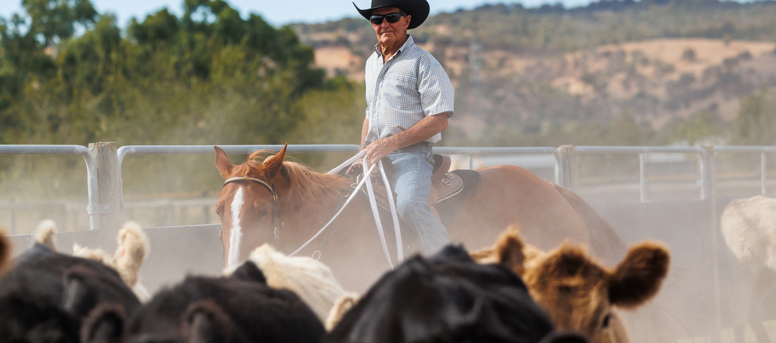 Essential Gear for Stock Riders: What You Can’t Do Without