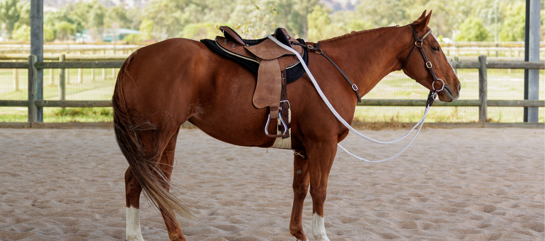 The Half Breed Saddle: Bridging Tradition and Innovation in Australian Saddlery