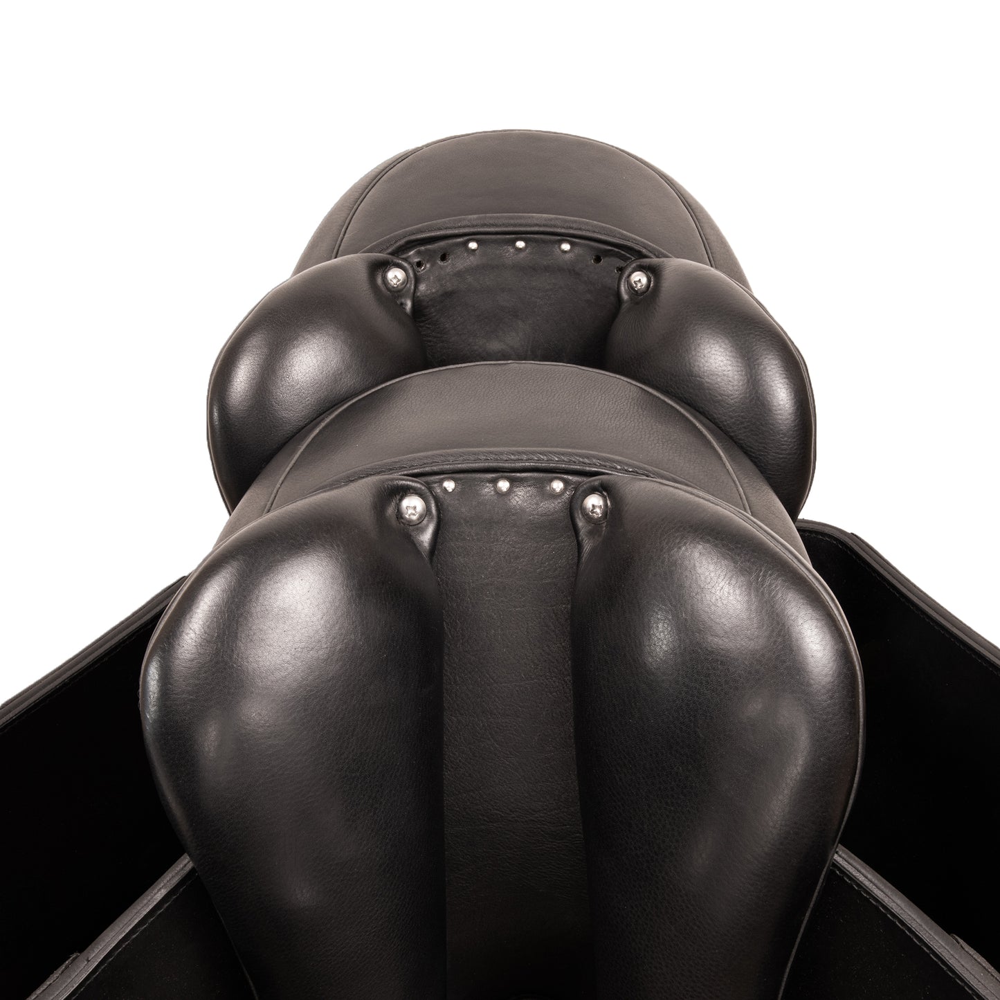 Syd Hill Regal Mono PLUS+