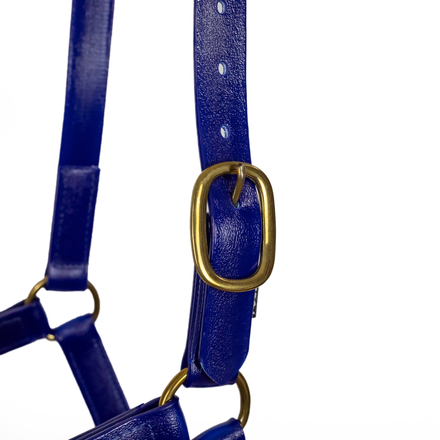 Syd Hill PVC Halter - Clearance