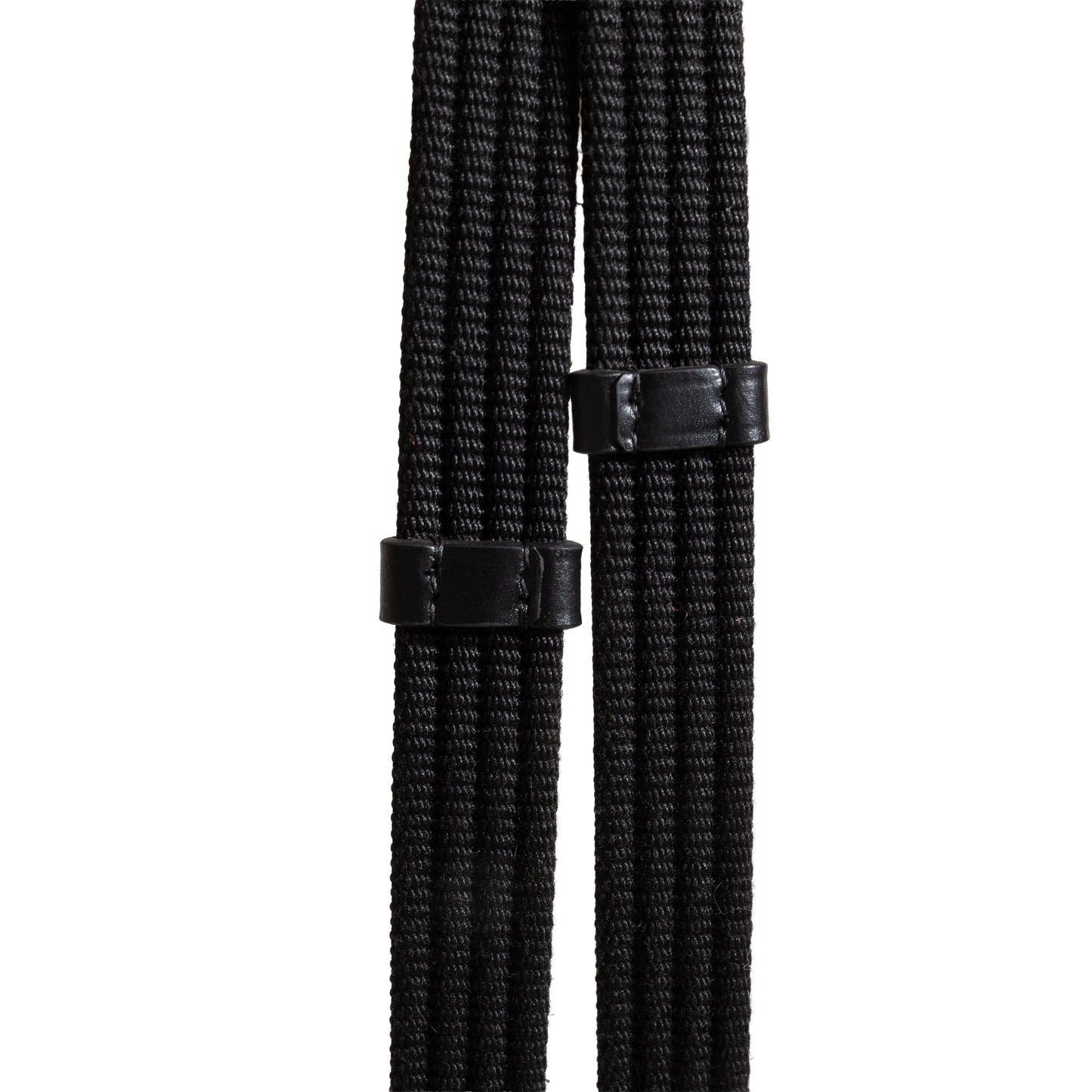 Syd Hill Foundation Bridle