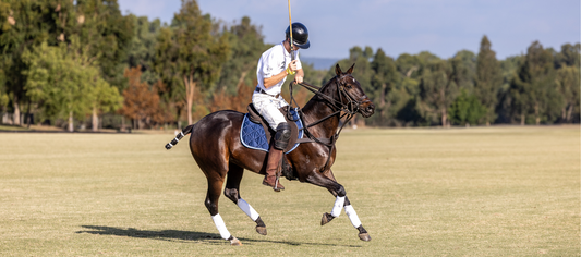 The History of Polo: An Australian Take on the World’s Oldest Team Sport