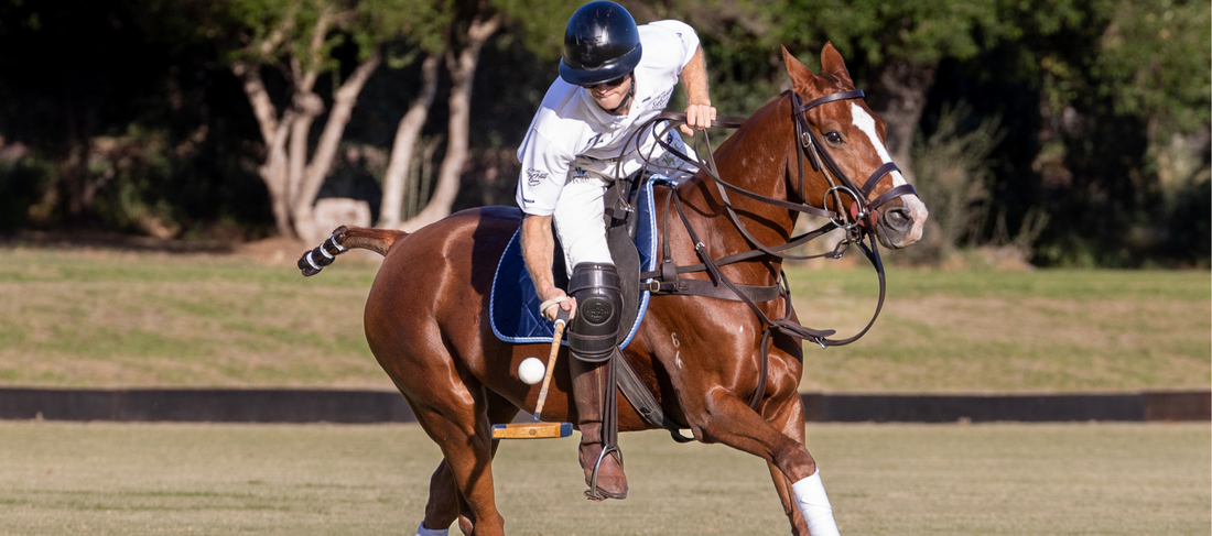 The Power Behind the Play: How the Polo Saddle Supports Agility and Control