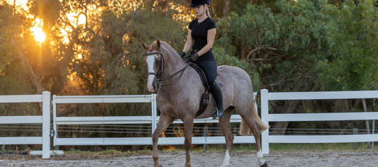 Stabilizing Dressage & Show Saddles on Round or Barrel-Shaped Horses