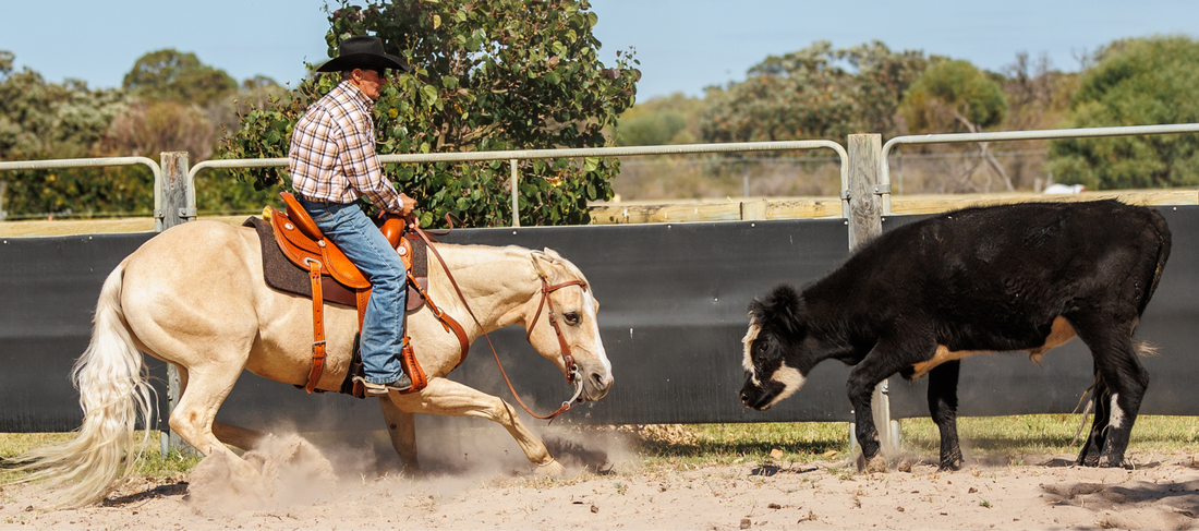 Breaking in a New Saddle: Do’s and Don’ts (Western Edition)