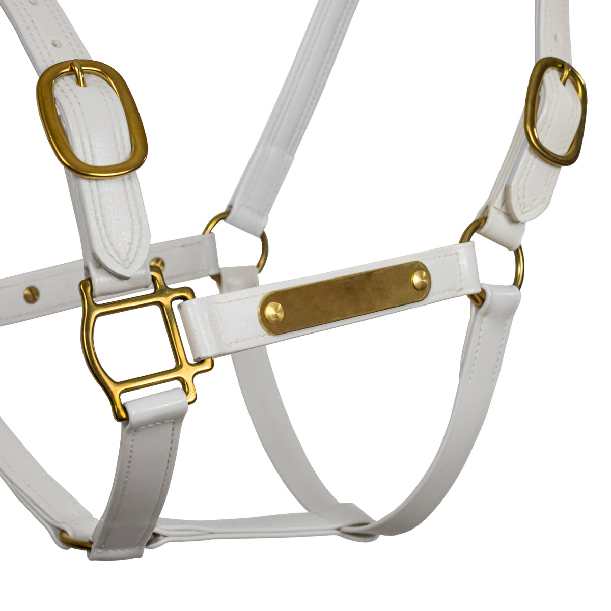 Pvc Halters Syd Hill PVC Halter with Nameplate