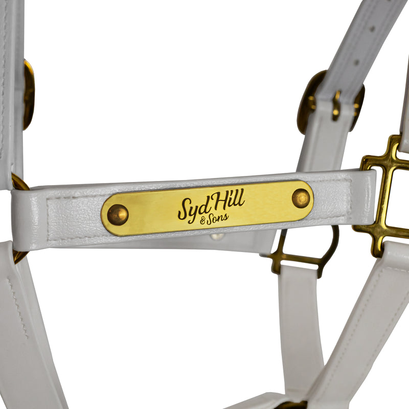 Syd Hill PVC Halter with Nameplate