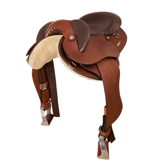 Syd Hill Darwin Half Breed