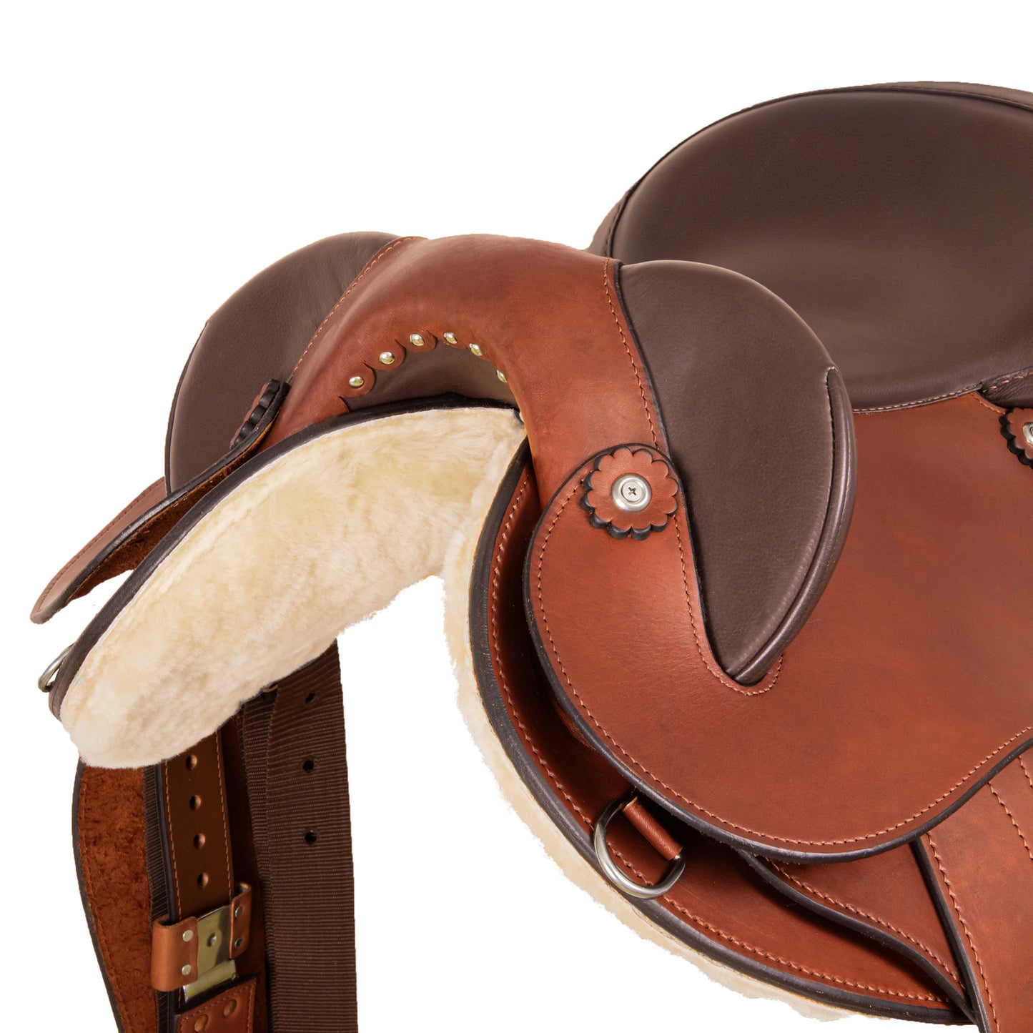 Syd Hill Darwin Half Breed