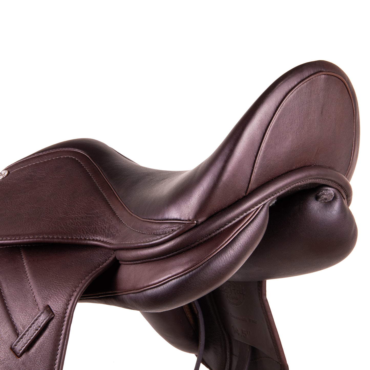Syd Hill Pony Dressage Pro