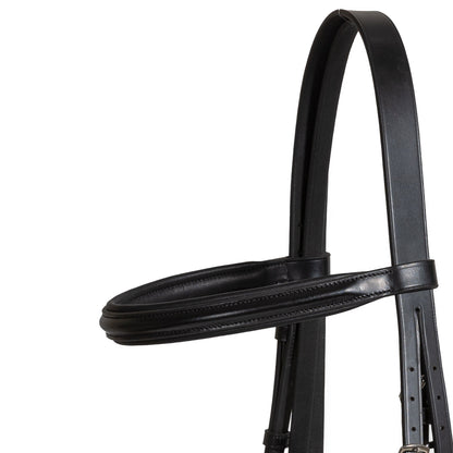 Syd Hill Foundation Bridle