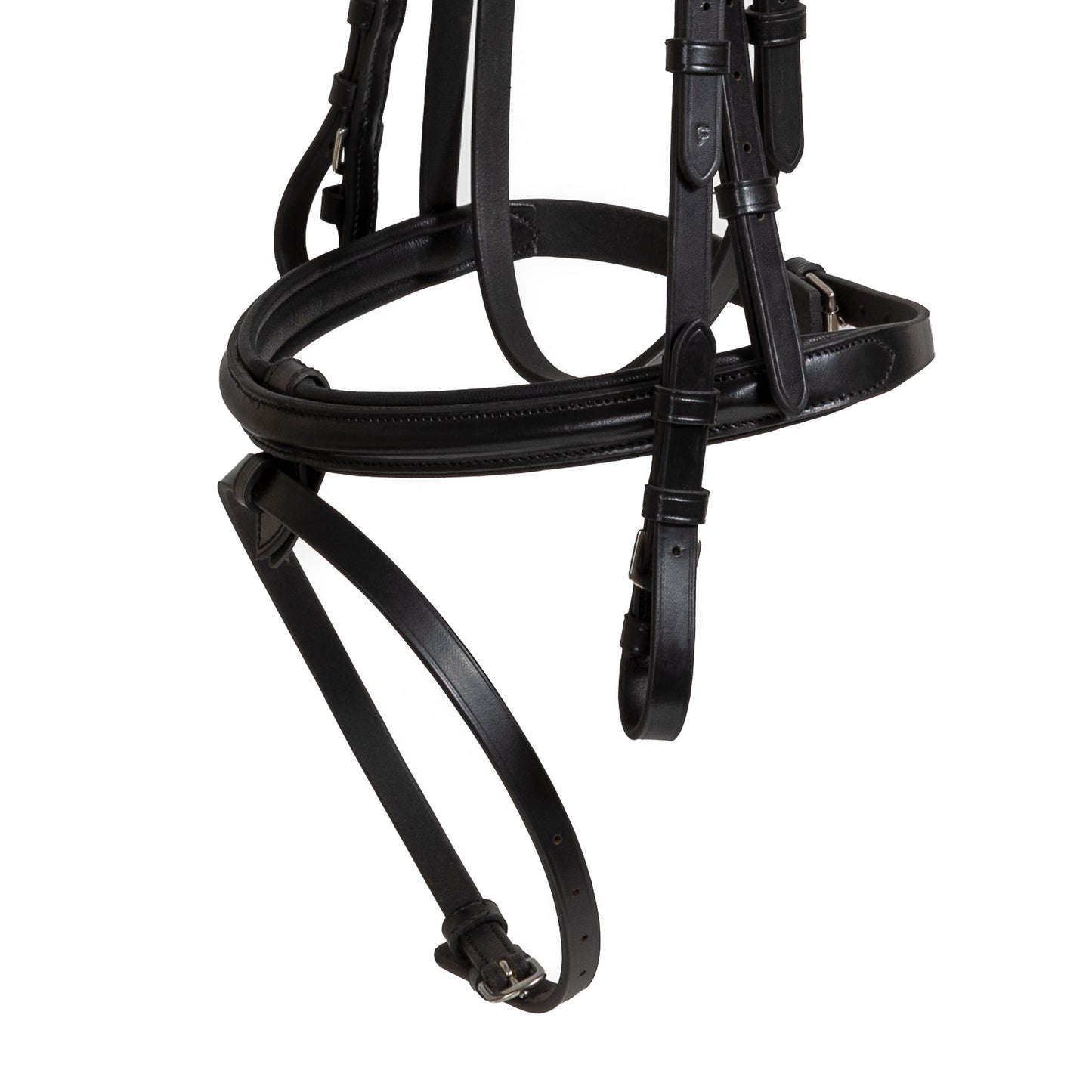 Syd Hill Foundation Bridle