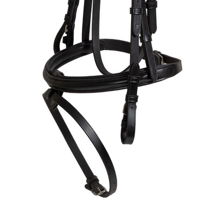 Syd Hill Foundation Bridle