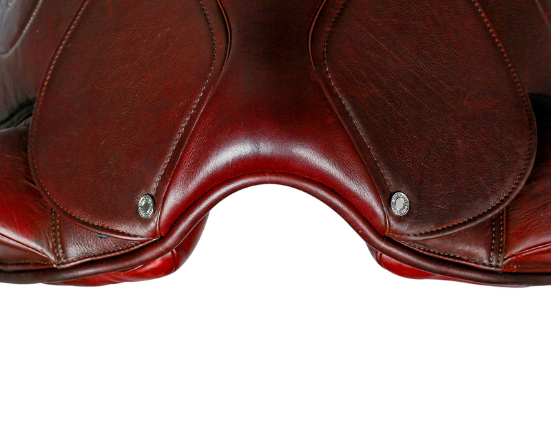 Syd Hill Pony Dressage Pro 🔥 SALE ON NOW