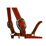 Syd Hill Cooroy Track Halter